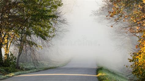 Foggy Road With Old Lamps Stock Photo Image Of Lamps 21566998