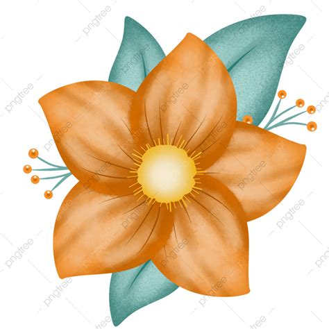 Gambar Bunga Jeruk Mewah Bunga Jeruk Daun Png Transparan Clipart Dan
