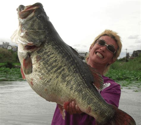 The 5 Biggest Bass Of All Time