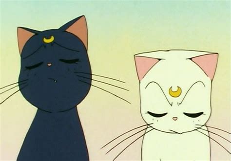 Luna And Artemis Sailor Moon Cat Luna And Artemis Sailor Moon Aesthetic