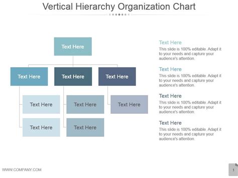 Vertical Hierarchy Organization Chart Ppt Design Powerpoint Templates