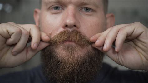 Beard Trim Update Month Beard Growth Youtube
