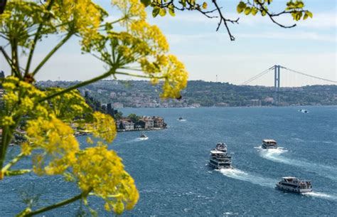 Bosphorus Cruise And Egypt Bazaar Half Day Tour Afternoon Alsero Tours