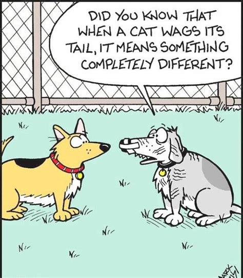 Dog Cat Tail Wag Cartoon ~ Funny Joke Pictures