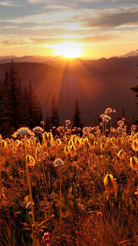 Ec Manning Provincial Park Sunset From Paintbrush Trail British