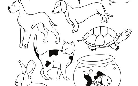 48 Best Ideas For Coloring Pet Coloring Pages