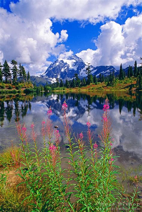 ~~mountain Majesty ~ Mount Shuksan Picture Lake North Cascade