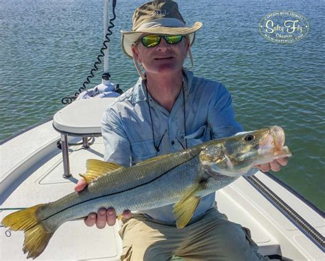 Saltwater Fly Fishing Tampa Bay Fl Report Captain Russ