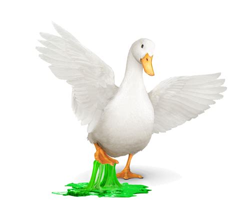 Aflac has a wide variety of health and accident insurance policies to meet the needs of almost every person and employer alike. Aflac | America's Most Recognized Supplemental Insurance Company