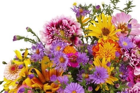 Grow Your Own Bouquets The 10 Best Flowers For A Cutting Garden Blue
