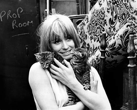 Suzy Kendall Celebrities With Cats Cat Lady Cat People