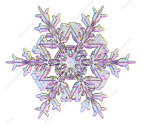 Snowflake Light Micrograph Stock Image C0232437 Science Photo
