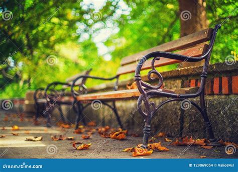 Bench In Autumn Park Autumn Landscape Stock Photo Image Of Leaf