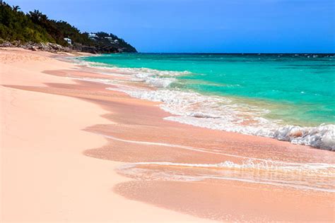 Why Are Bermuda Beaches Pink Ymt Vacations