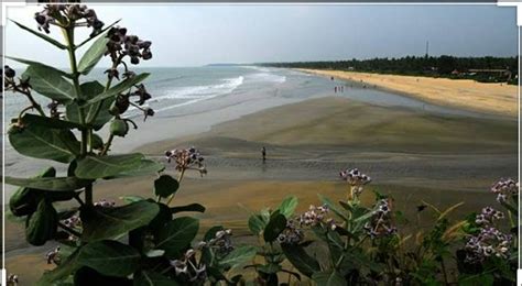 Payyambalam Beach Kannur 2019 What To Know Before You Go With