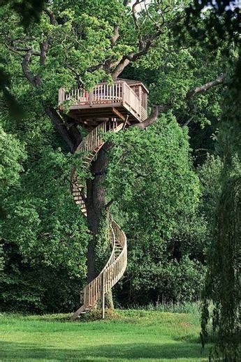 Unbelievable Treehouses That Are Better Than Your Dream House Beautiful Tree Houses Tree