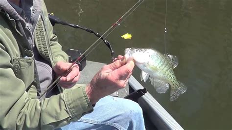 A One Crappie Day ~ Crappie Fishing ~ Patoka Lake ~ Southern Indiana