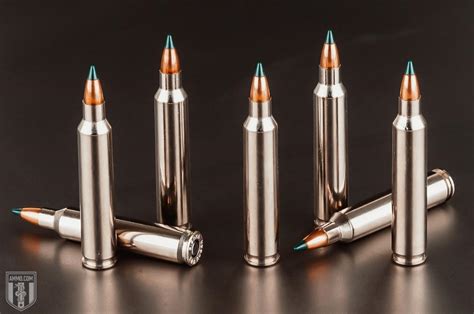 204 Ruger Vs 223 Caliber Comparison By