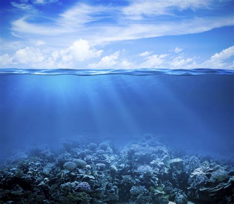 Wallpaper Coral Reef Under The Sea Underwater Hd 4k