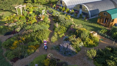 Pandemic Boosts Popularity Of Gardening ‘backyard Farmer Nebraska