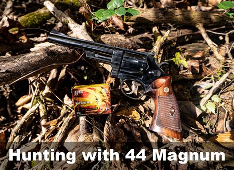 Hunting With A 44 Magnum The Lodge At