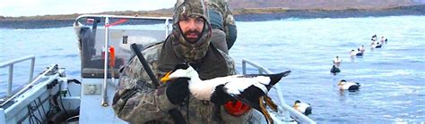 More Adventures Aleutian Island Waterfowlers Alaksa Duck Hunting Guides
