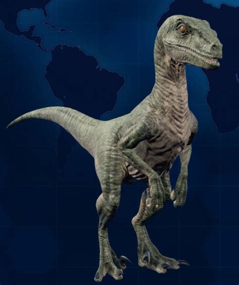 Velociraptor Jurassic World Evolution Wiki Fandom Jurassic World My Xxx Hot Girl