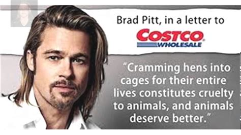 Is Brad Pitt Vegan Or Vegetarian Celebrity Fm 1 Official Stars Business And People Network