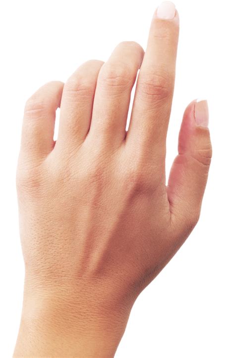 Hands Png Hand Image Free Transparent Image Download Size 500x764px