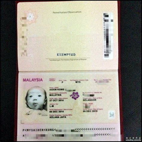 The passport number is a must to check your visa status. How to Apply Malaysian Passport for Your Baby - i'm saimatkong