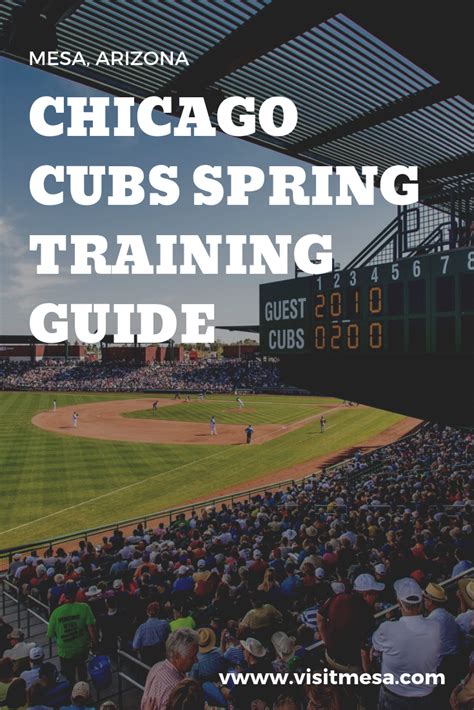 Chicago Cubs Spring Training Guide Cubs Spring Training Chicago Cubs