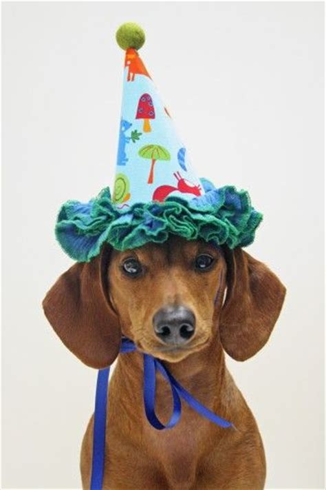 Birthdays Parties And Hats On Pinterest