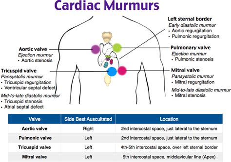 cardiac murmurs pediatric nurse practitioner nurse practitioner school cardiac nursing