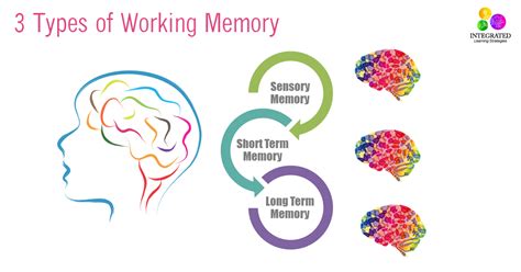 Types Of Memory Working Memory Tied To Your Childs Intelligence