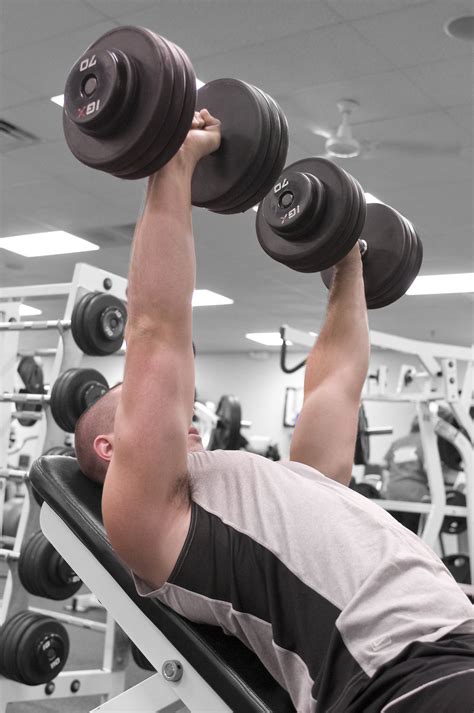 Men Exercise Free Stock Photo A Healthy Young Man Lifting Weights