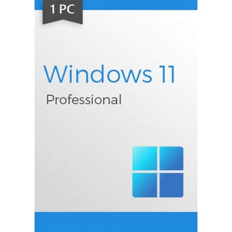Windows 11 Professional 64 Bit Nelojava