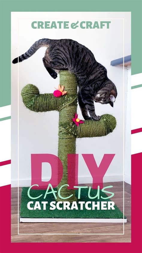 The Cactus Diy Cat Scratching Post You And Your Cat Will Love In 2020
