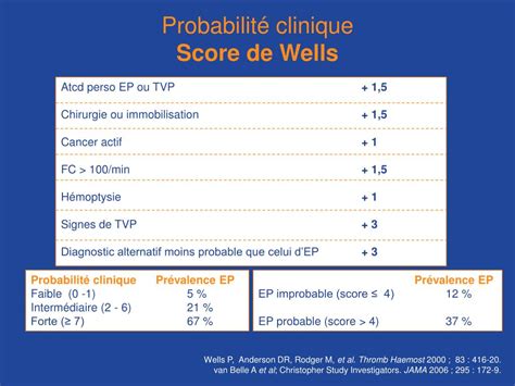 Examples of score in a sentence. PPT - Probabilité clinique Score de Wells PowerPoint ...