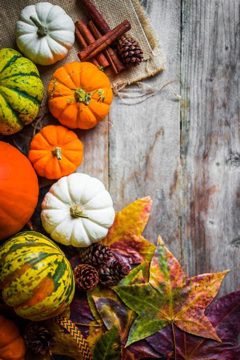Colorful Pumpkins And Fall Leaves On Rustic Wooden Background By Alena