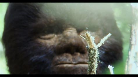 Discovering Bigfoot An Incredible Factual Sasquatch Documentary Youtube