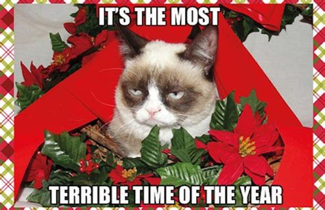 16 Funny Memes Christmas Is Coming Meme Factory Memes