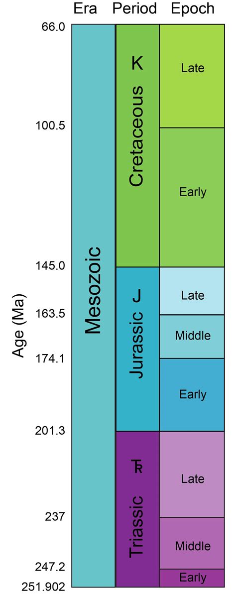 Mesozoic Era Chart