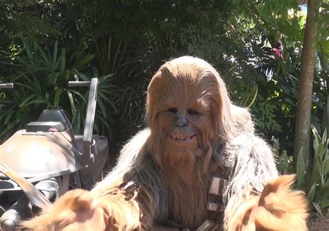 Chewbacca In The Most Adorable Child Interaction Star Wars Weekends