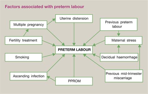 Management Of Preterm Labour Obstetrics Gynaecology And Reproductive Medicine