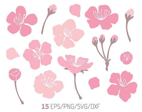 Cherry blossom svg Floral svg Vector flowers svg files for | Etsy