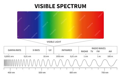 Premium Vector Visible Light Diagram Color Electromagnetic Spectrum