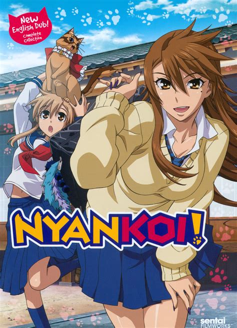 Nyan Koi Complete Collection 3 Discs Dvd Best Buy