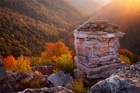 The 20 Most Beautiful Forests In America Blackwater Falls State Park