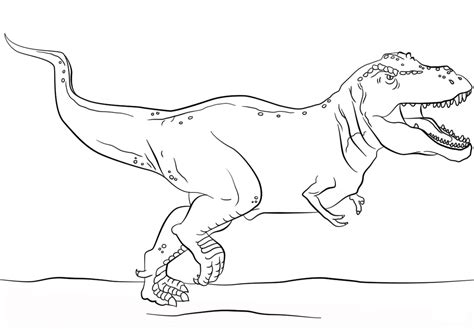 They lived on planet earth about 65 million years ago and were the largest (however, this is still a controversial issue) and strongest predators that time and ever. Dinosaur T Rex Coloring Page - Dinosaur Coloring Pages