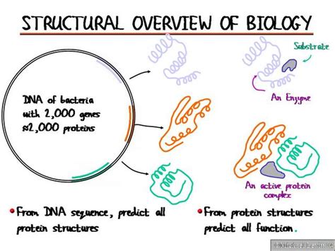Structuraloverviewofbiology